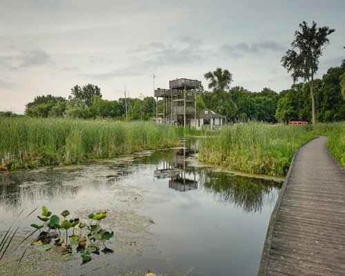 A calm afternoon walk in a park with green trees